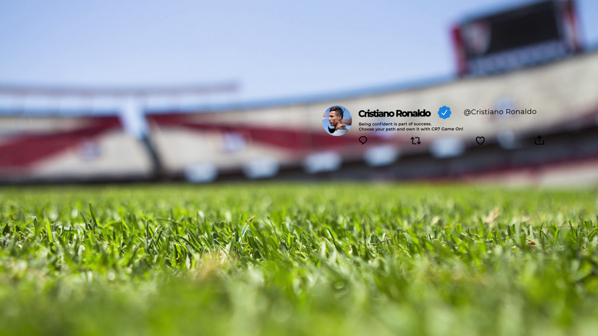 Twitter After Effects template (1)