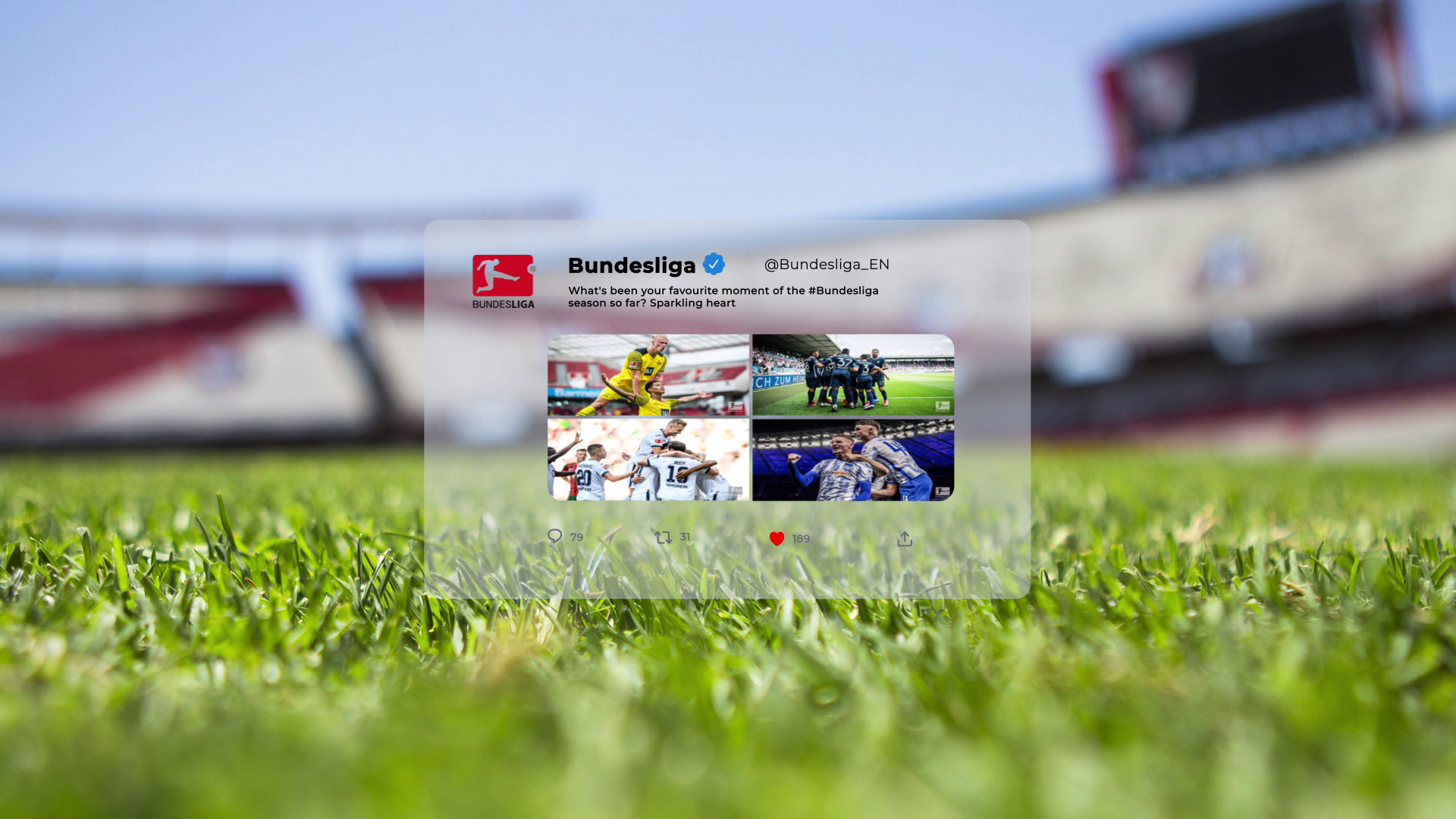 Twitter After Effects template (3)