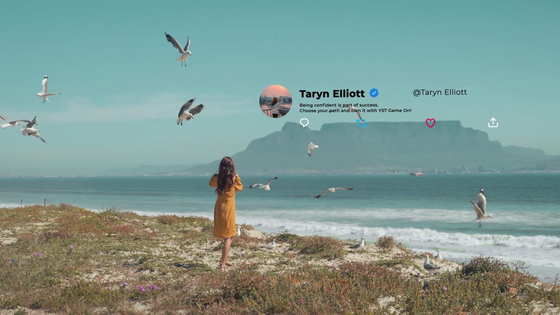 Twitter After Effects template (5)