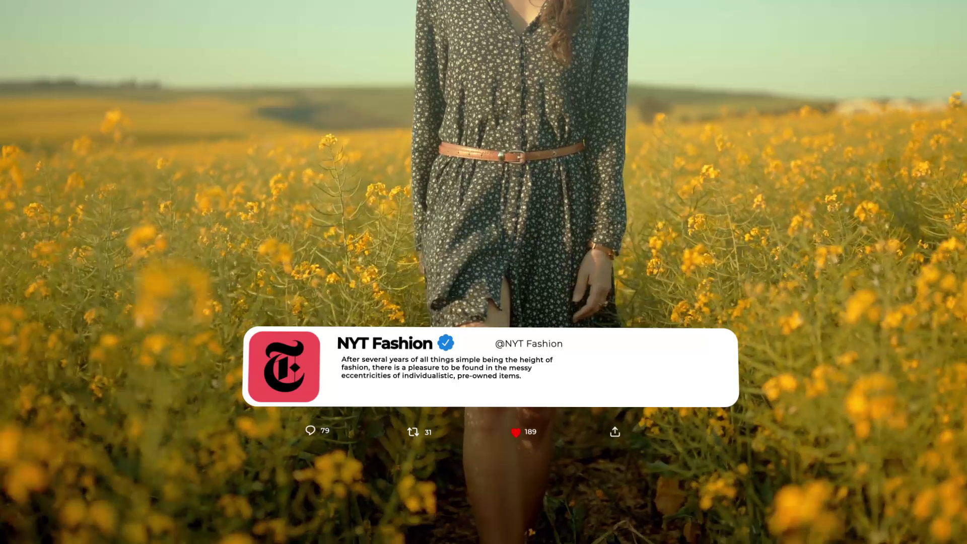 Twitter After Effects template (9)
